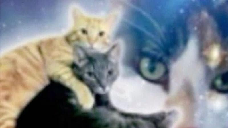 Banda autoral região Metropolitana de Florianópolis