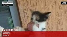 imagem do usuário