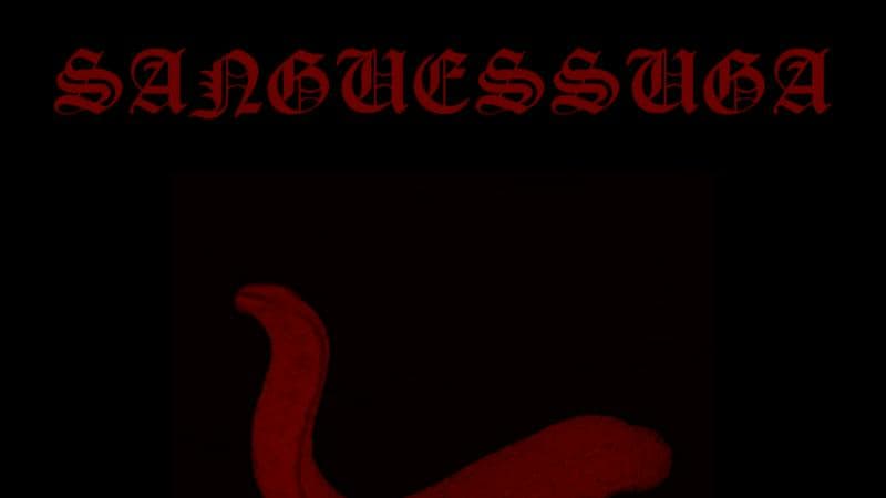 PROCURA-SE VOCALISTA PARA BANDA DE DOOM METAL