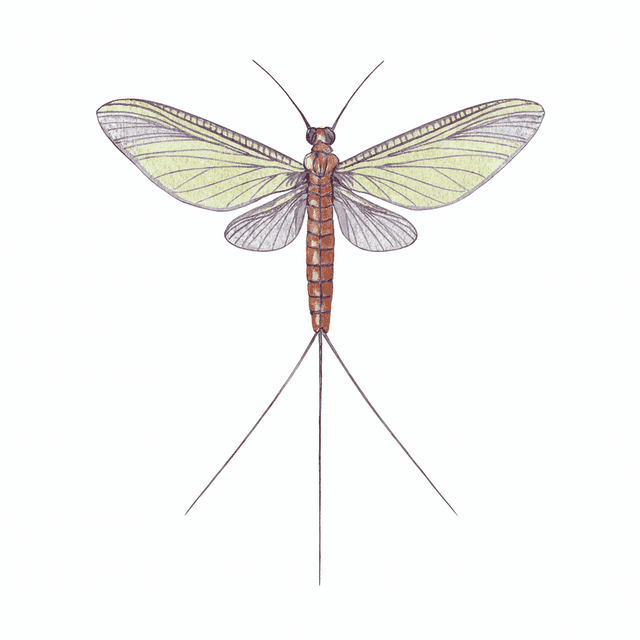 Banda de Grunge/Punk/Alt Rock procura baixista e guitarrista