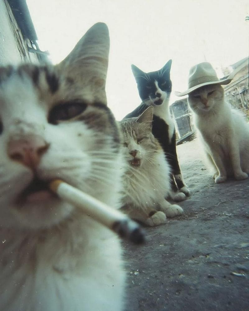 PROCURO BANDA REGIÃO SUL DE MINAS GERAIS