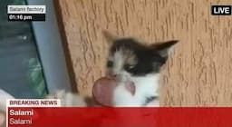 imagem do usuário