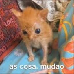 imagem do usuário