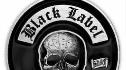 FORMANDO BANDA COVER DE BLACK LABEL SOCIETY / CLASSICS VARIADOS