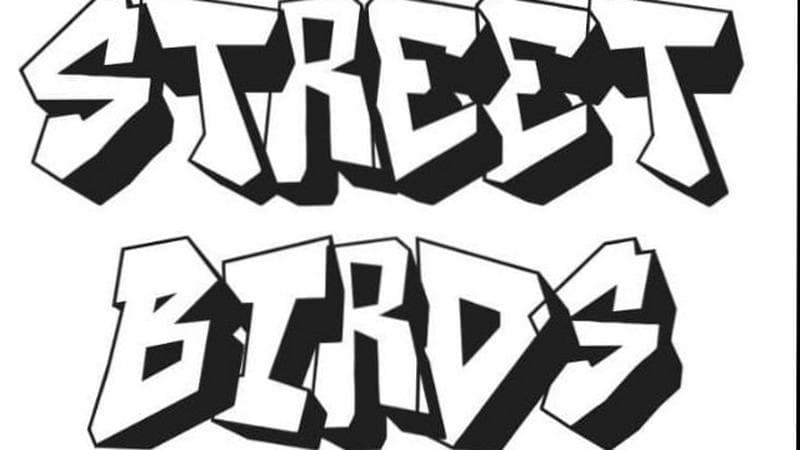 Banda Street Birds Procura Guitarrista Base