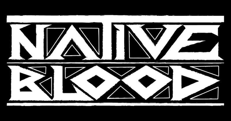 Procuramos Guitarrista