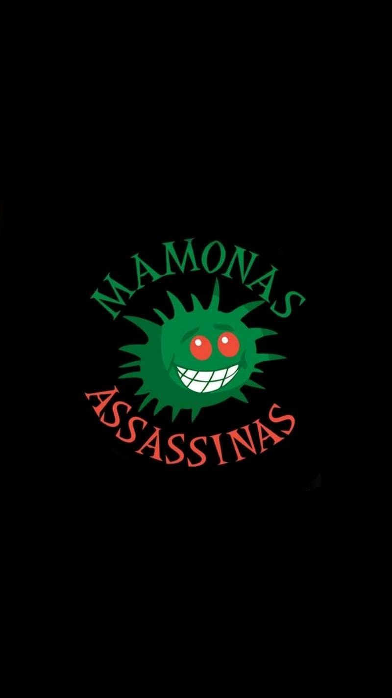 Procuro baterista, baixista, tecladista e vocalista