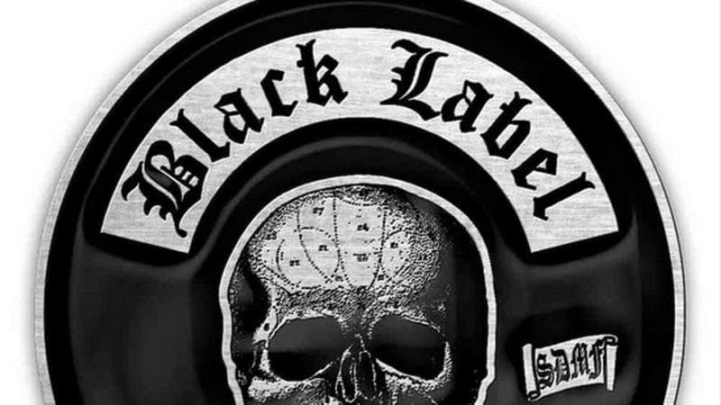 FORMANDO BANDA COVER DE BLACK LABEL SOCIETY / CLASSICS VARIADOS